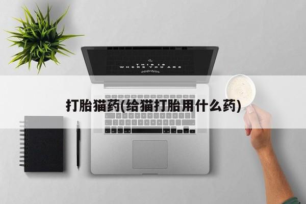 流产药专卖微信打胎猫药(给猫打胎用什么药)