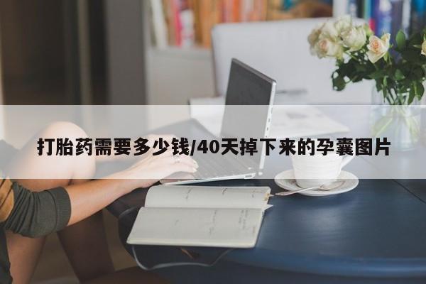 流产药专卖微信打胎药需要多少钱/40天掉下来的孕囊图片
